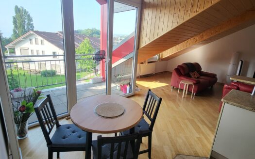 Splendide duplex de 5 pièces loué meublé