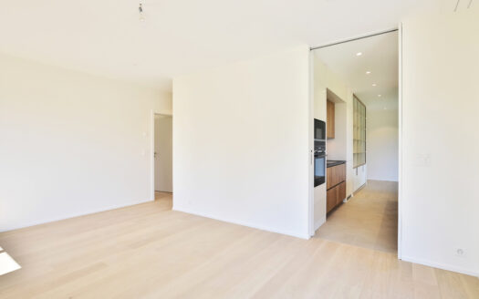 Appartement de standing de 5.5 pièces de 115 m2 + balcon
