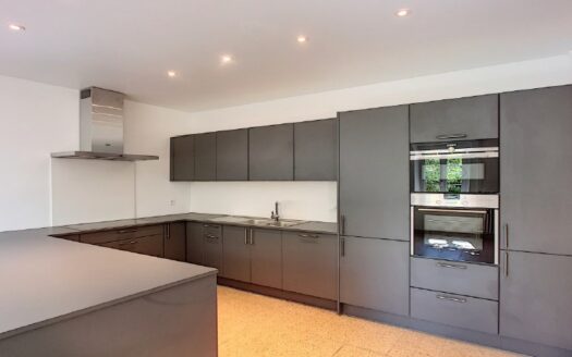 Grande maison individuelle rénovée de 9 pièces