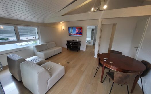 Appartement semi-meublé de 4.5 pièces + terrasse