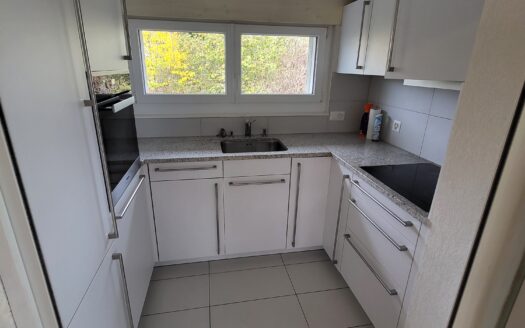 Appartement semi-meublé de 4.5 pièces + terrasse