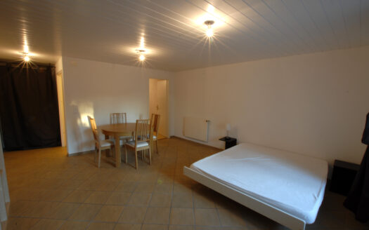 VERSOIX – Studio meublé