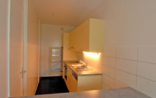 CAROUGE – Appartement 4 pièces