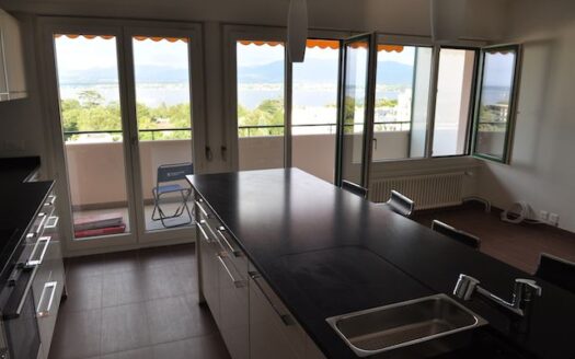 VERSOIX – Appartement de 5 pièces