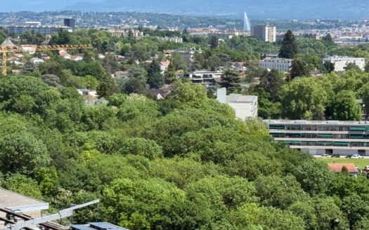 LE LIGNON – Appartement de 3.5 pièces