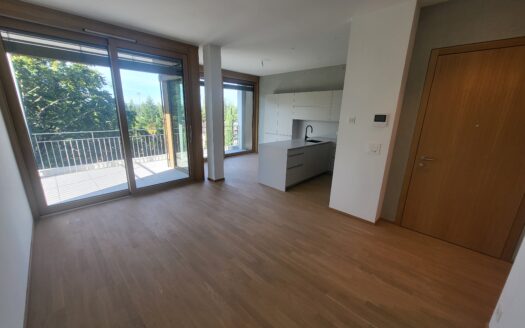 CHENE-BOURG – Appartement de 3.5 pièces