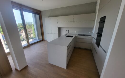 CHENE-BOURG – Appartement de 3.5 pièces