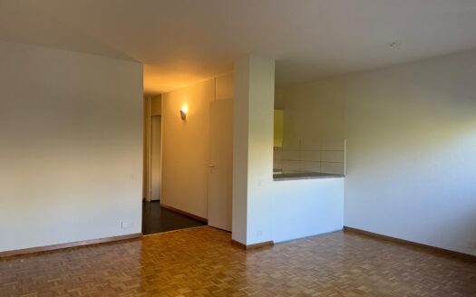 CAROUGE – 4-room apartment