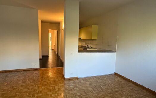 CAROUGE – 4-room apartment