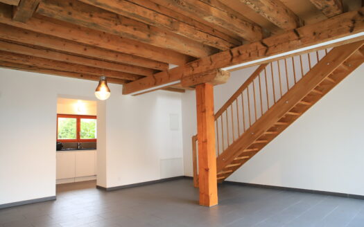 PETIT-SACONNEX – Triplex de 4 pièces